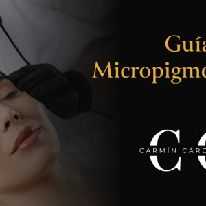 Guía micropigmentación